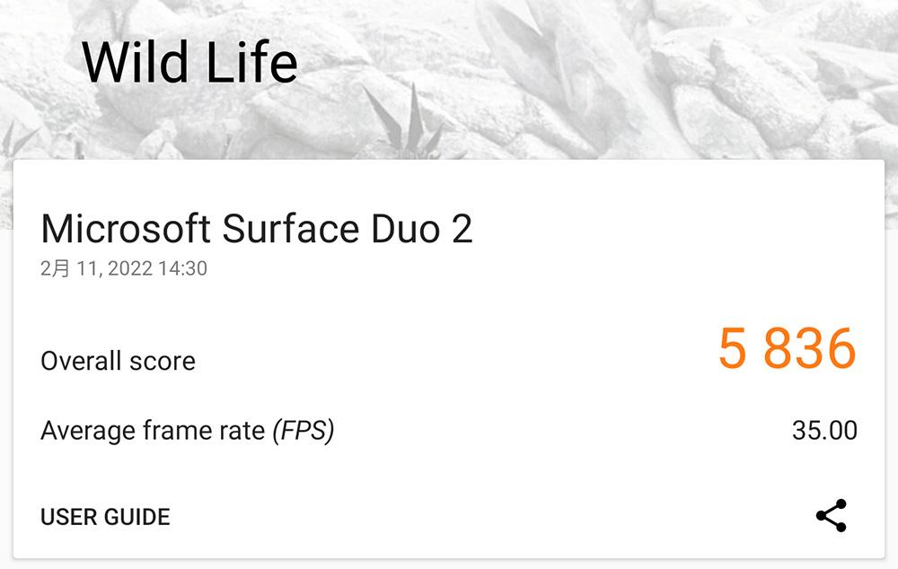  Surface Duo 2の3DMark Wild Lifeスコア